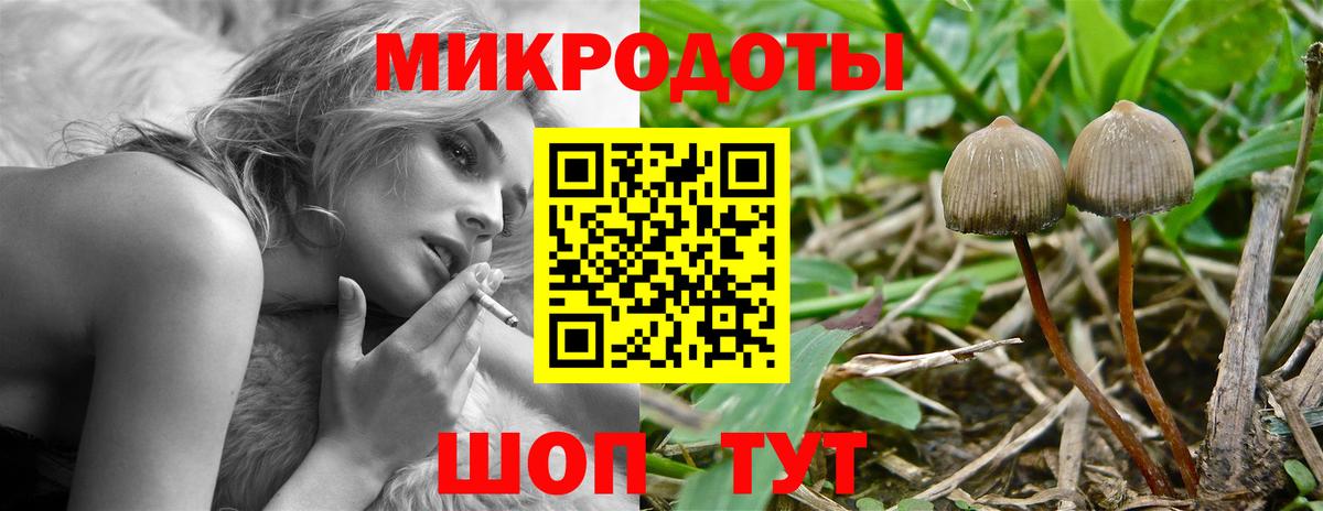 Галлюциногенные грибы прущие грибы  Вход с VPN  Псилоцибиновые грибы мицелий  Сокол 