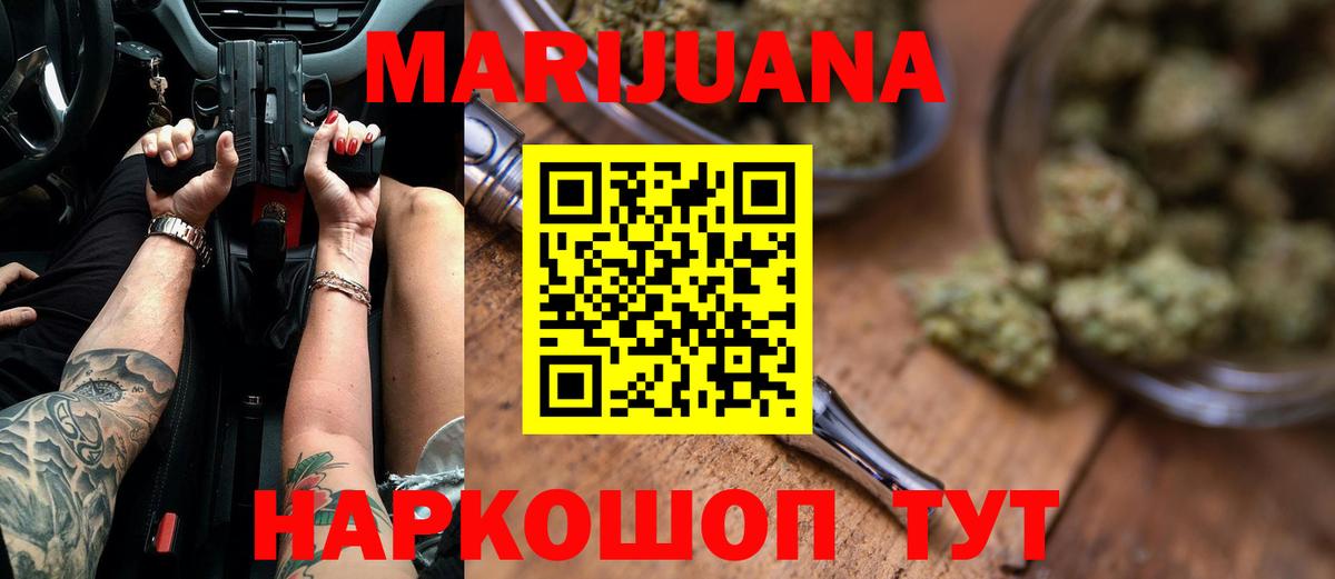 Конопля сатива Сокол